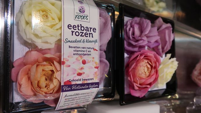 Des roses comestibles, riches en antioxydants et vitamine C… assure la firme Pheno Geno Roses qui a procédé à des recherches spéciales. ©Odile Maillard